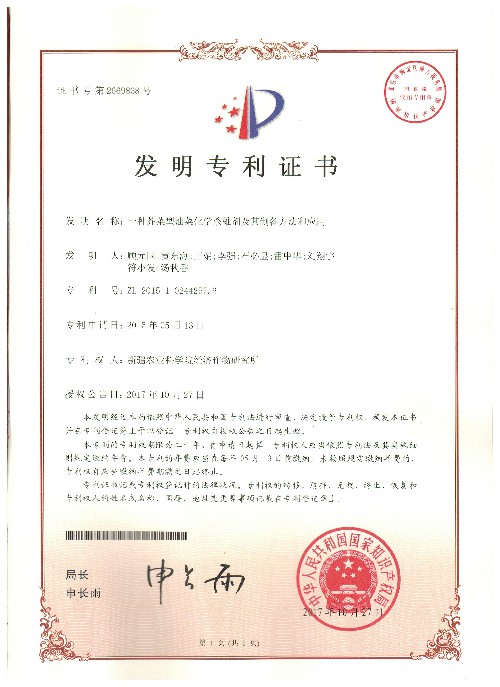 发明专利证书