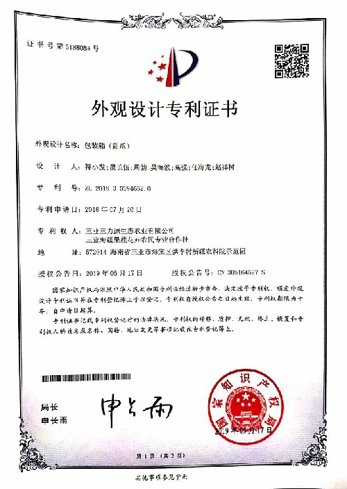 外观专利